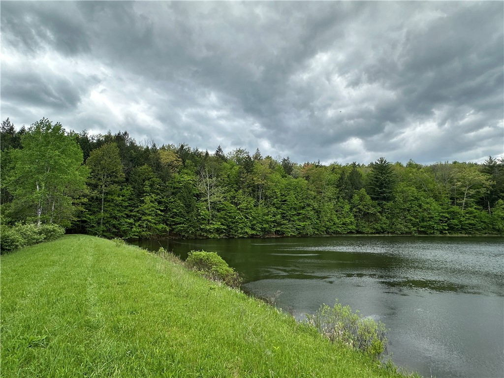 Vl Lot 1 Hardscrabble Road Addison, NY 14801 - Photo 16 of 46