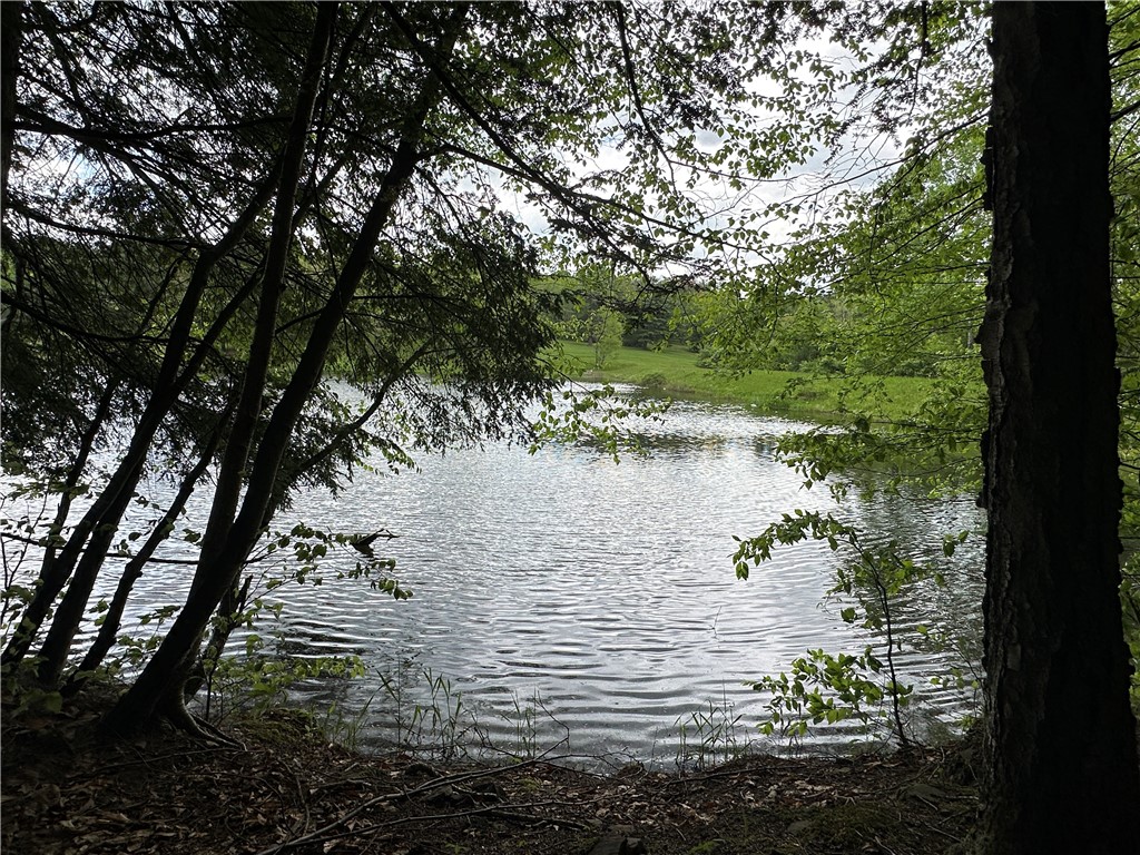 Vl Lot 1 Hardscrabble Road Addison, NY 14801 - Photo 17 of 46