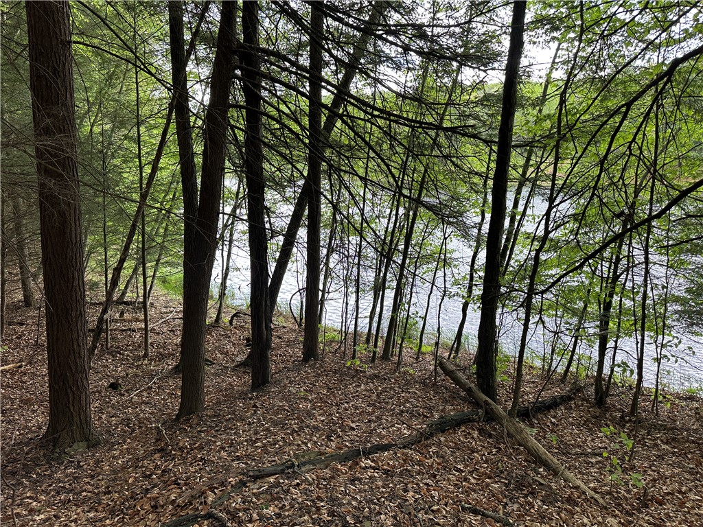 Vl Lot 1 Hardscrabble Road Addison, NY 14801 - Photo 18 of 46