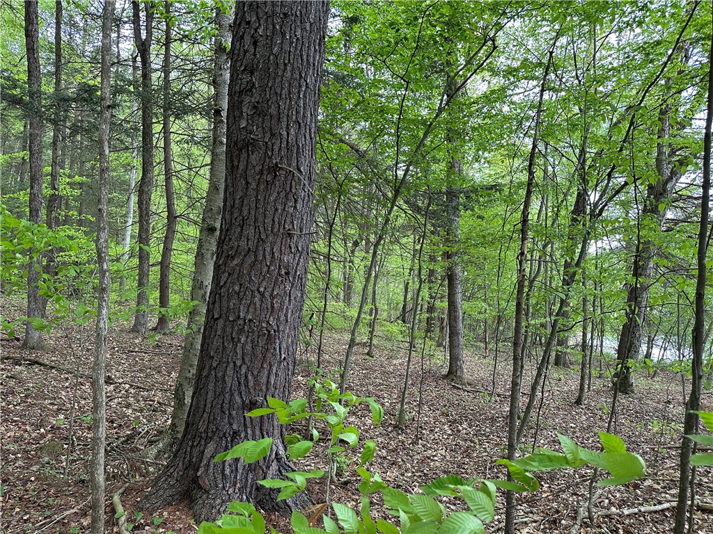 Vl Lot 1 Hardscrabble Road Addison, NY 14801 - Photo 20 of 46