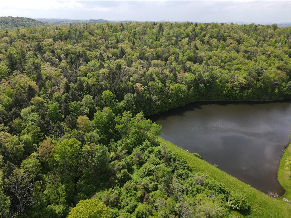 Vl Lot 1 Hardscrabble Road Addison, NY 14801 - Photo 2 of 46