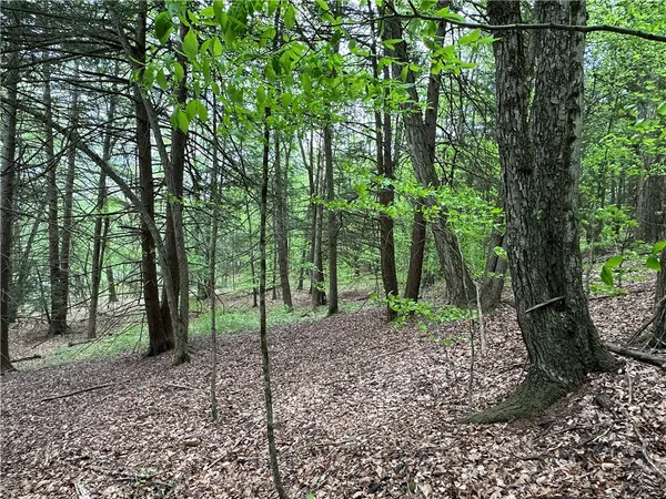 $84,000 | Vl Lot 1 Hardscrabble Road, Addison, NY 14801
