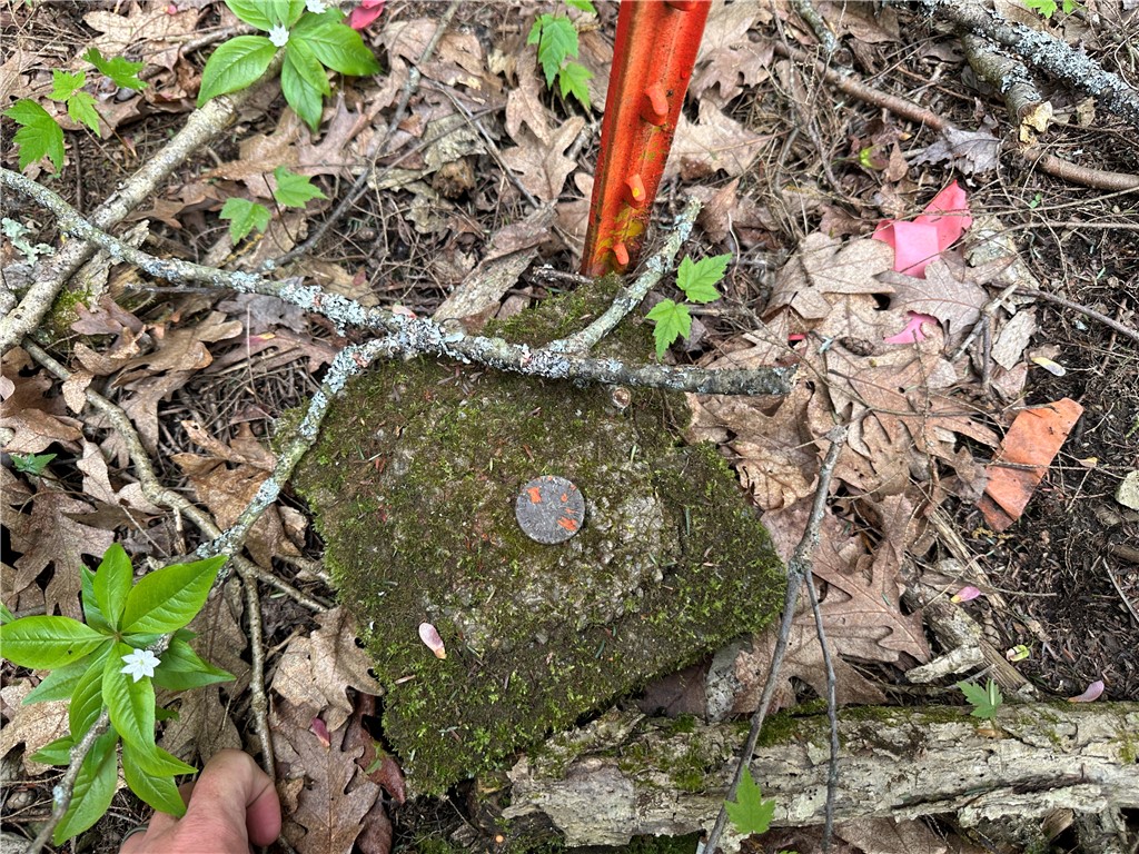 Vl Lot 1 Hardscrabble Road Addison, NY 14801 - Photo 23 of 46