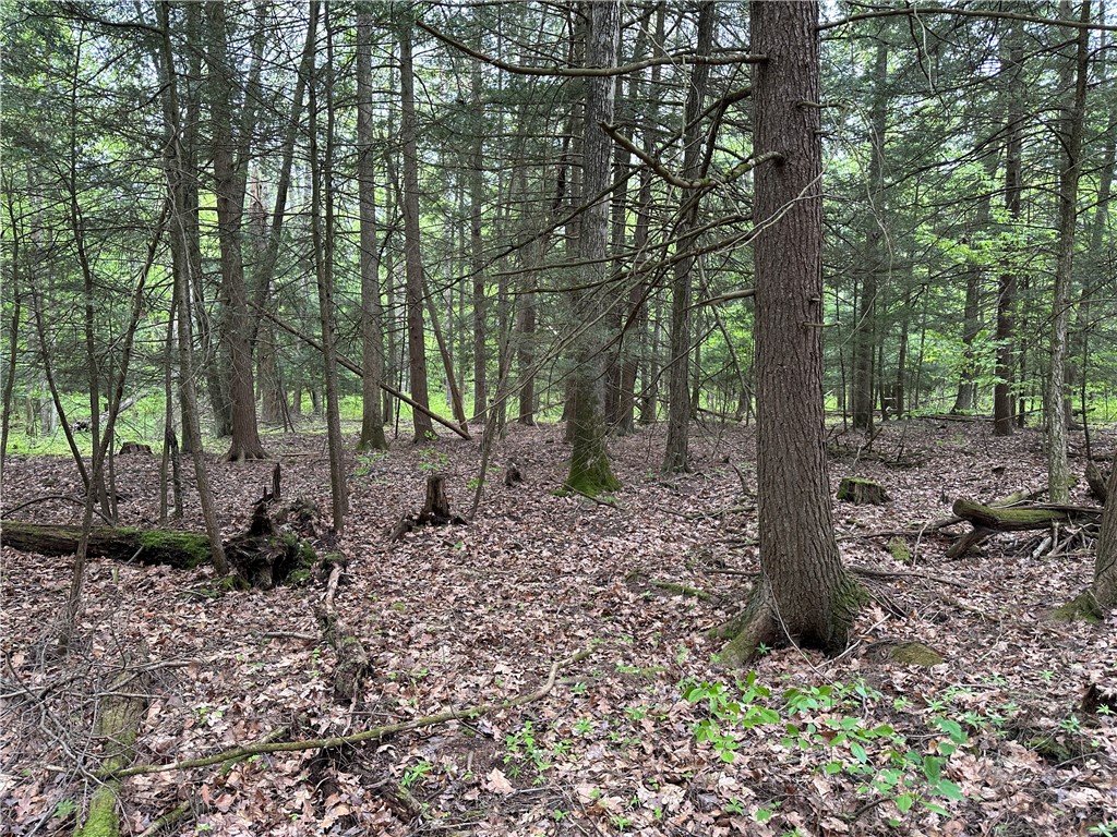 Vl Lot 1 Hardscrabble Road Addison, NY 14801 - Photo 24 of 46