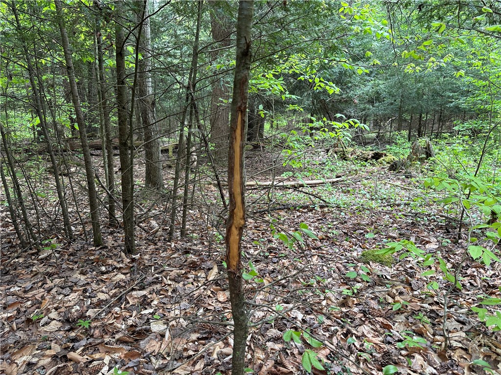 Vl Lot 1 Hardscrabble Road Addison, NY 14801 - Photo 26 of 46