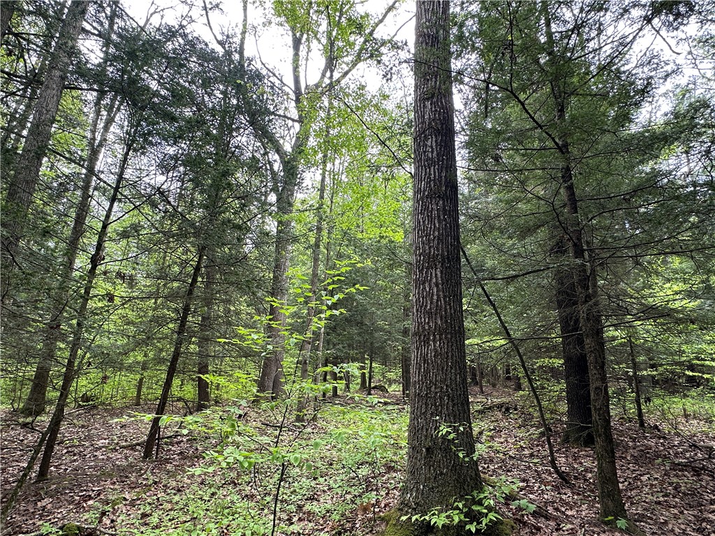 Vl Lot 1 Hardscrabble Road Addison, NY 14801 - Photo 27 of 46