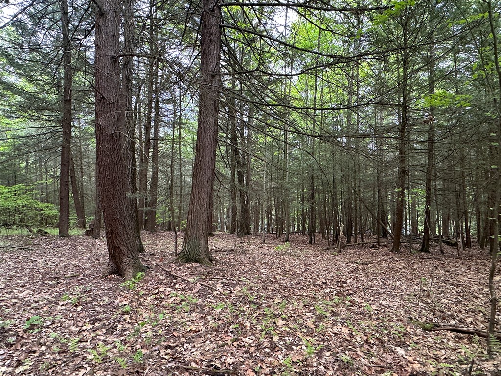 Vl Lot 1 Hardscrabble Road Addison, NY 14801 - Photo 28 of 46