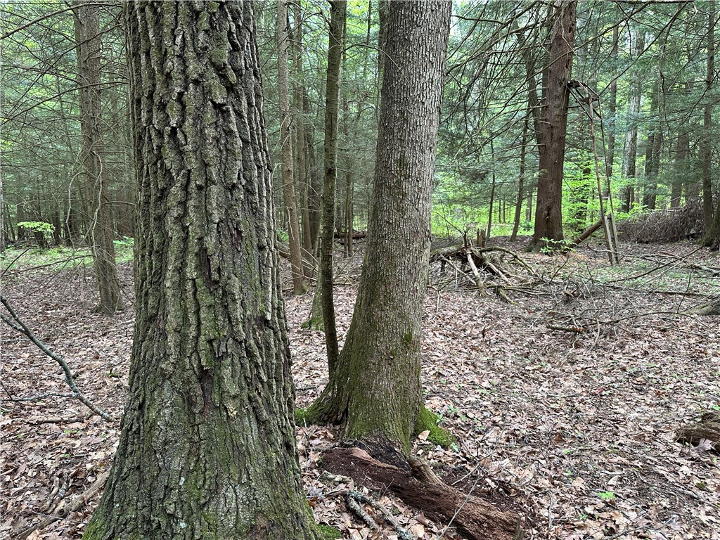 Vl Lot 1 Hardscrabble Road Addison, NY 14801 - Photo 29 of 46