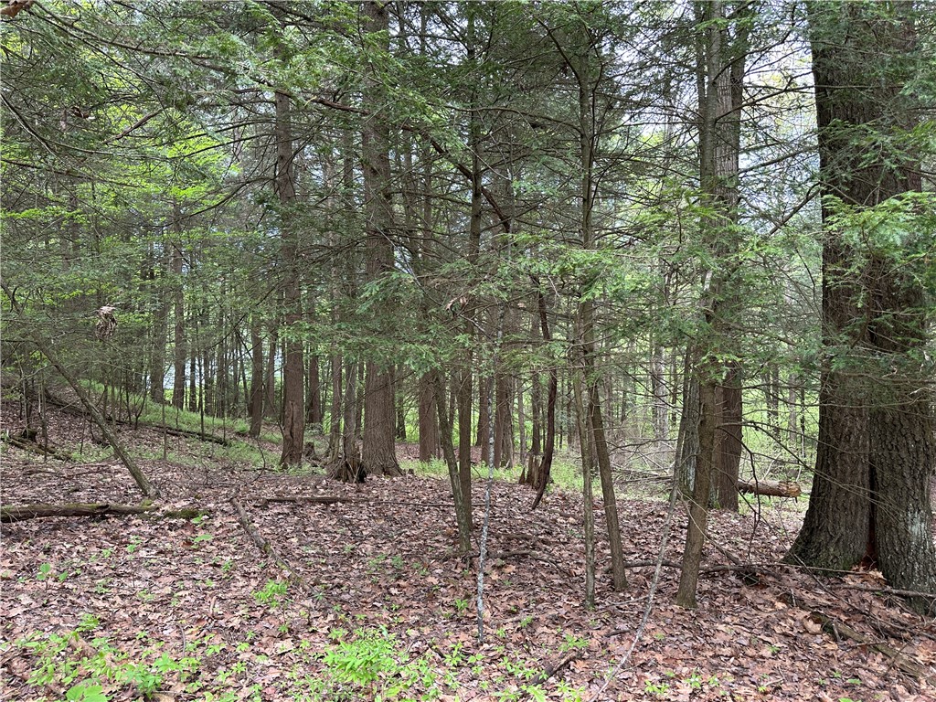 Vl Lot 1 Hardscrabble Road Addison, NY 14801 - Photo 30 of 46