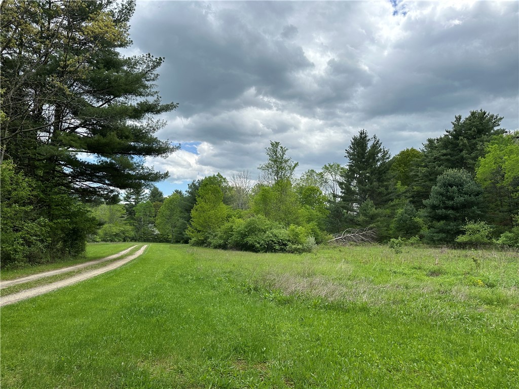 Vl Lot 1 Hardscrabble Road Addison, NY 14801 - Photo 3 of 46