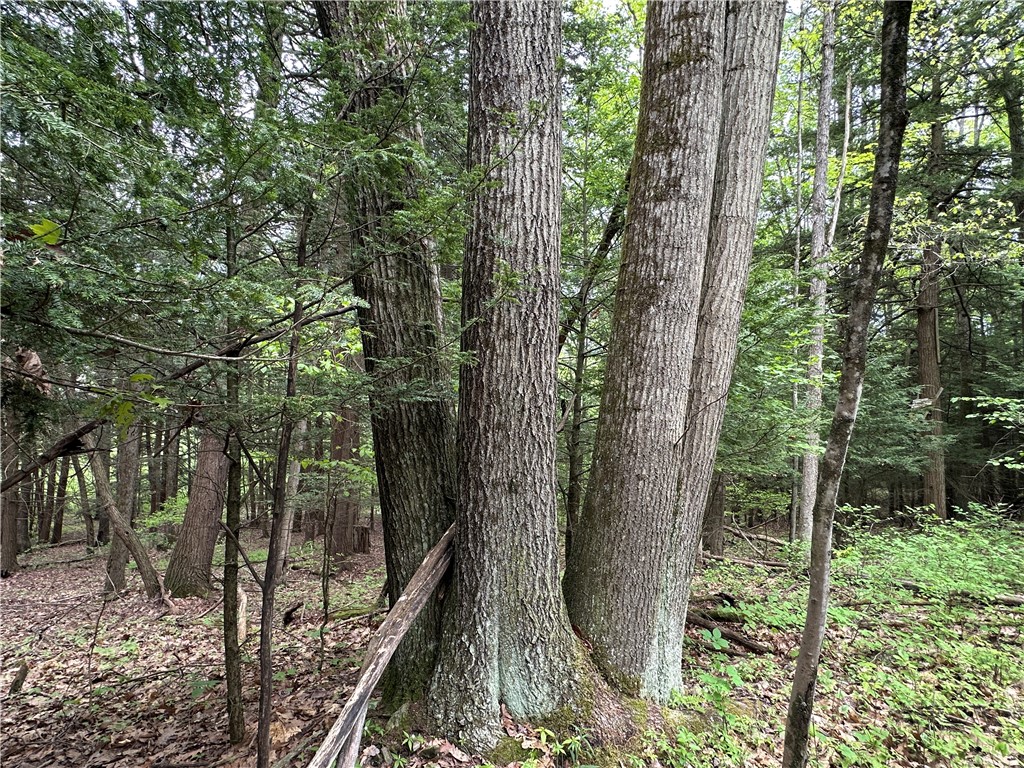 Vl Lot 1 Hardscrabble Road Addison, NY 14801 - Photo 31 of 46