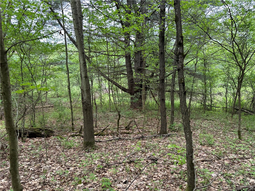 Vl Lot 1 Hardscrabble Road Addison, NY 14801 - Photo 32 of 46