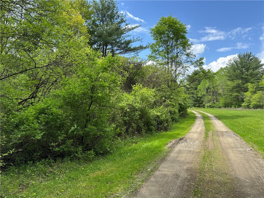 Vl Lot 1 Hardscrabble Road Addison, NY 14801 - Photo 33 of 46