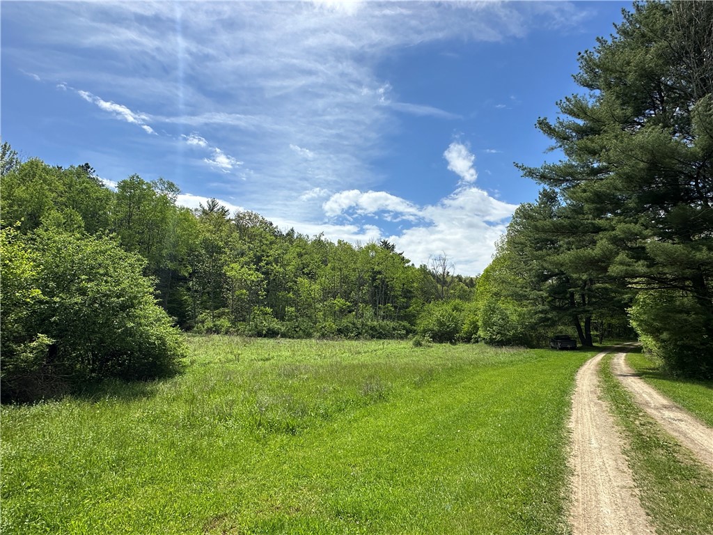 Vl Lot 1 Hardscrabble Road Addison, NY 14801 - Photo 34 of 46