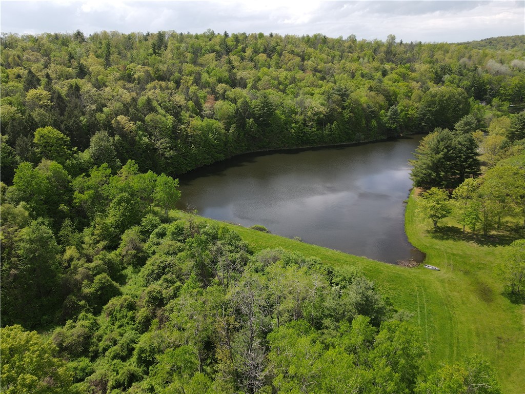 Vl Lot 1 Hardscrabble Road Addison, NY 14801 - Photo 36 of 46