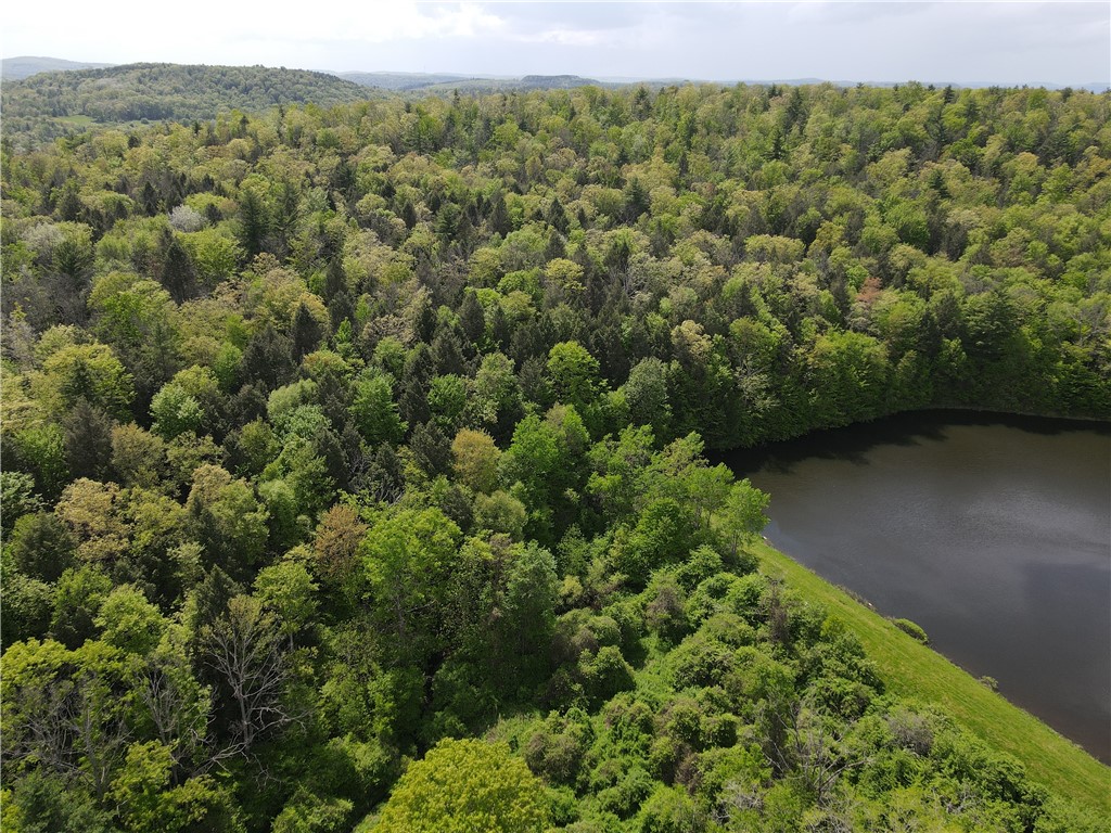 Vl Lot 1 Hardscrabble Road Addison, NY 14801 - Photo 37 of 46