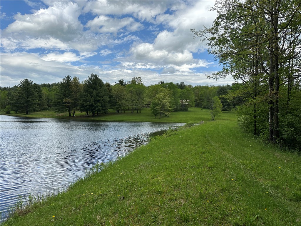 Vl Lot 1 Hardscrabble Road Addison, NY 14801 - Photo 39 of 46