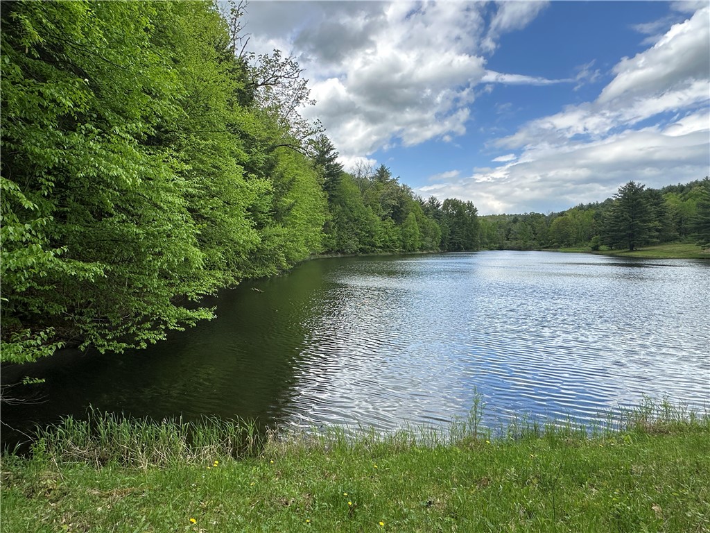 Vl Lot 1 Hardscrabble Road Addison, NY 14801 - Photo 4 of 46