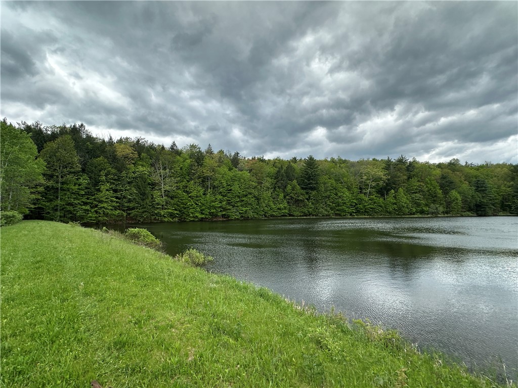 Vl Lot 1 Hardscrabble Road Addison, NY 14801 - Photo 41 of 46