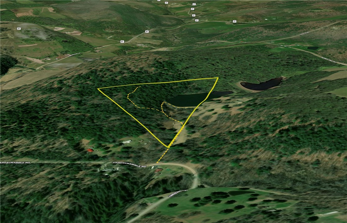 Vl Lot 1 Hardscrabble Road Addison, NY 14801 - Photo 43 of 46