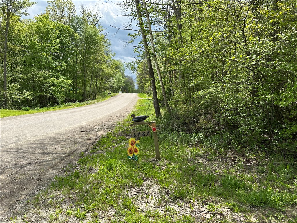 Vl Lot 1 Hardscrabble Road Addison, NY 14801 - Photo 6 of 46