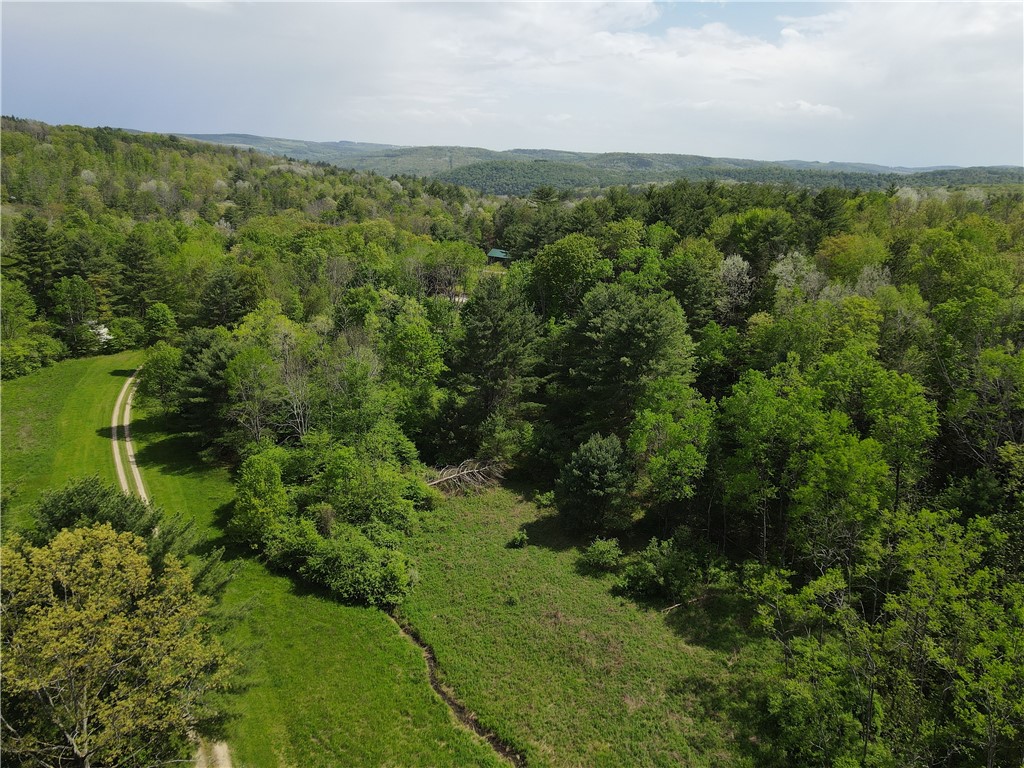 Vl Lot 1 Hardscrabble Road Addison, NY 14801 - Photo 7 of 46