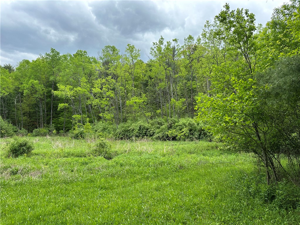 Vl Lot 1 Hardscrabble Road Addison, NY 14801 - Photo 9 of 46