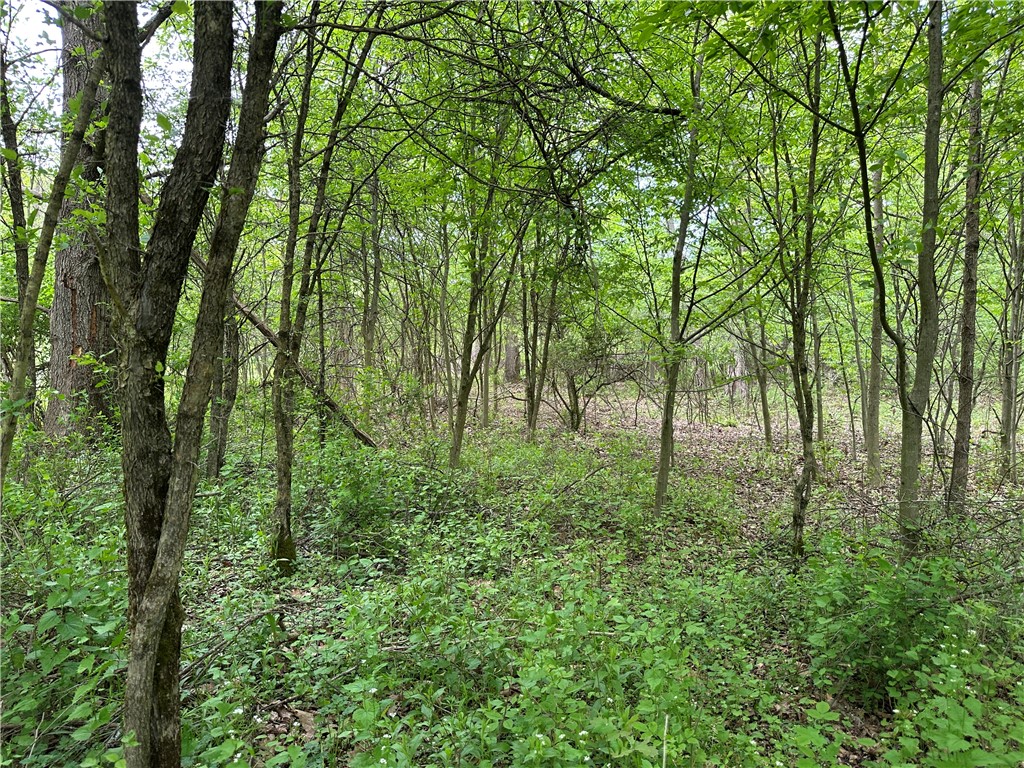 Vl Lot 1 Hardscrabble Road Addison, NY 14801 - Photo 10 of 46