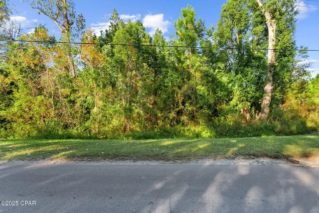 $21,500 | 115 Pear Street, Wewahitchka, FL 32465