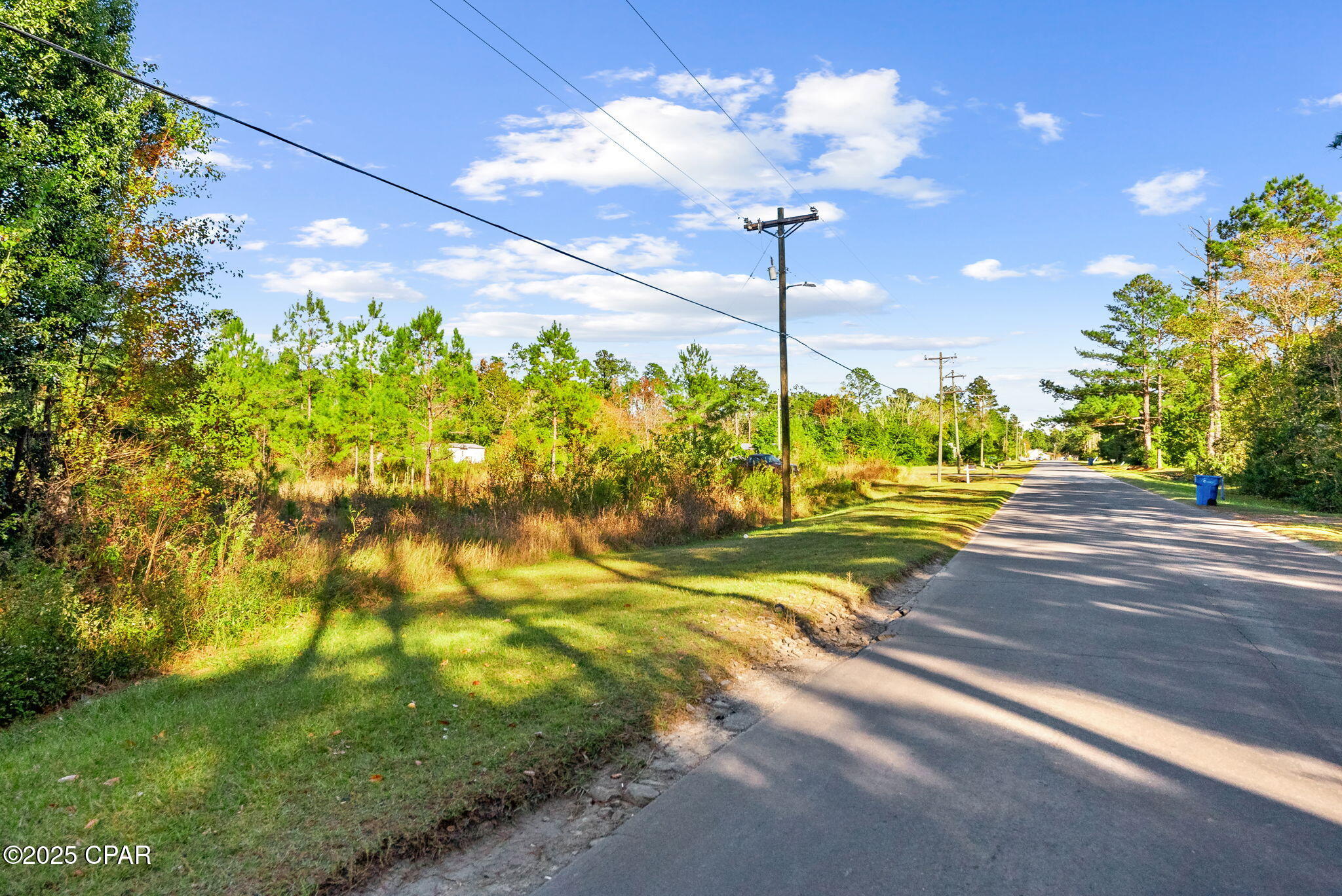 115 Pear Street Wewahitchka, FL 32465 - Photo 12 of 23