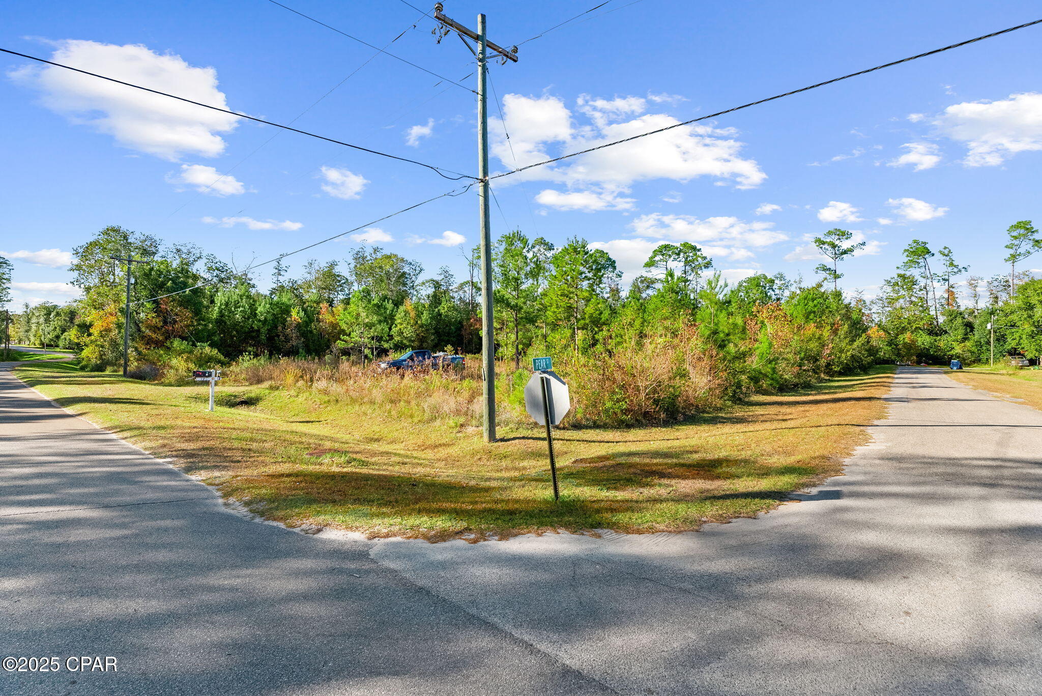 115 Pear Street Wewahitchka, FL 32465 - Photo 13 of 23