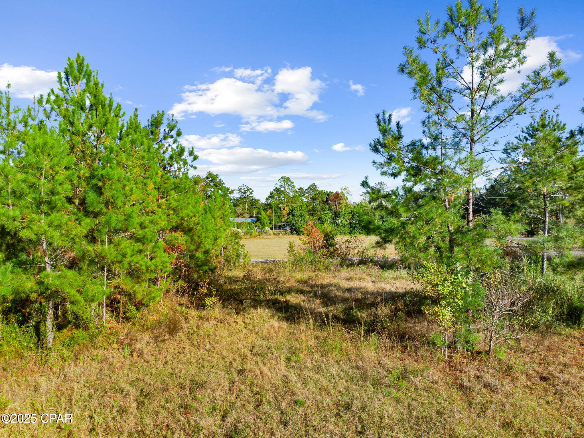 115 Pear Street Wewahitchka, FL 32465 - Photo 15 of 23