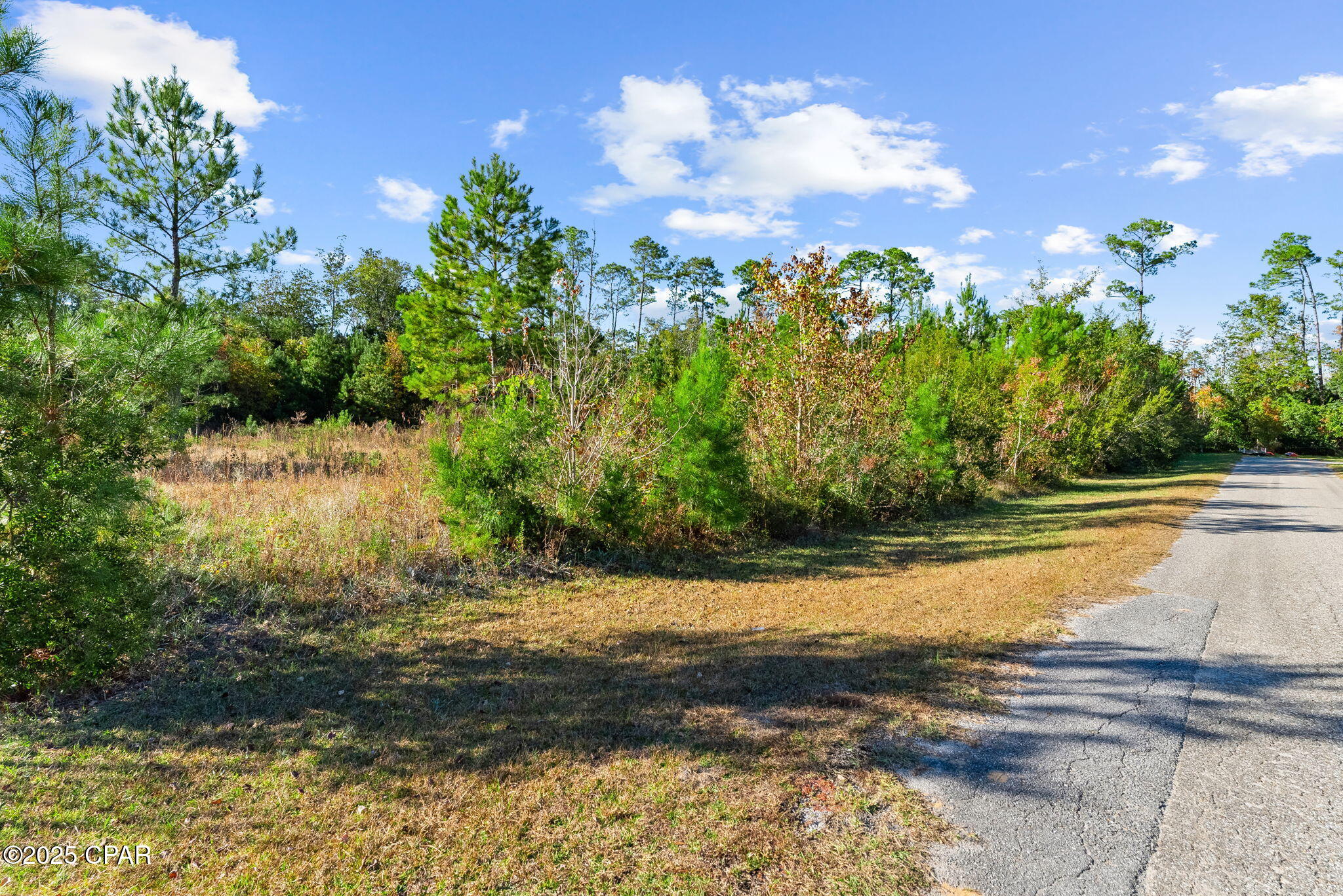 115 Pear Street Wewahitchka, FL 32465 - Photo 19 of 23