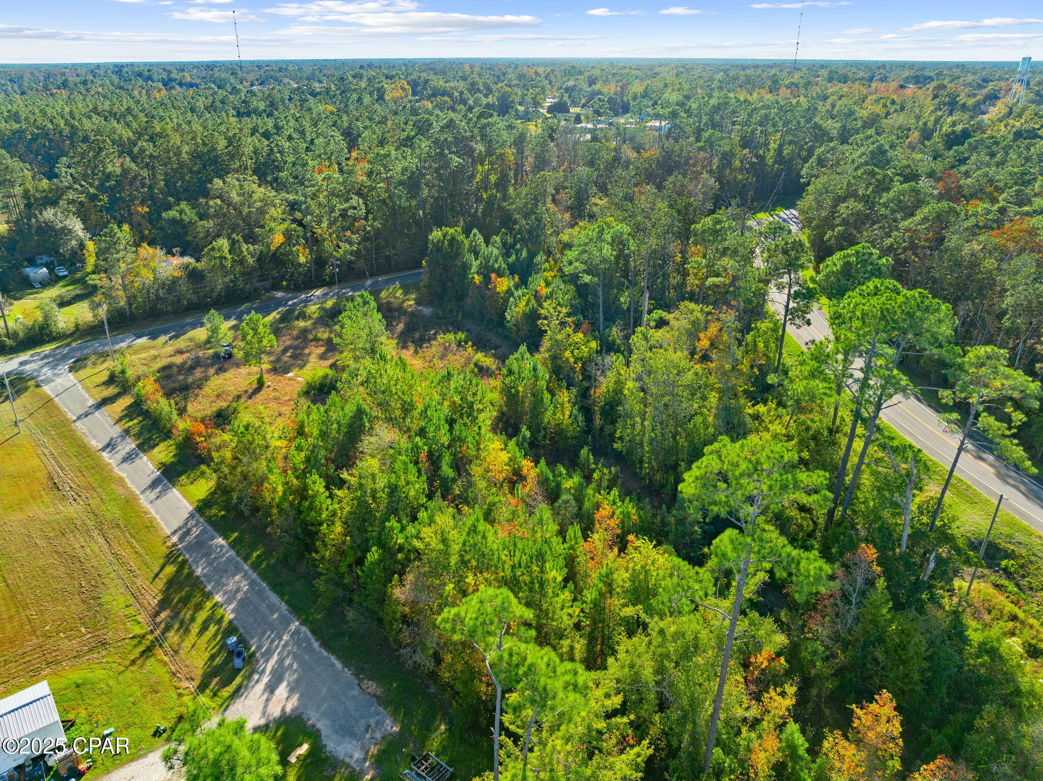 115 Pear Street Wewahitchka, FL 32465 - Photo 5 of 23