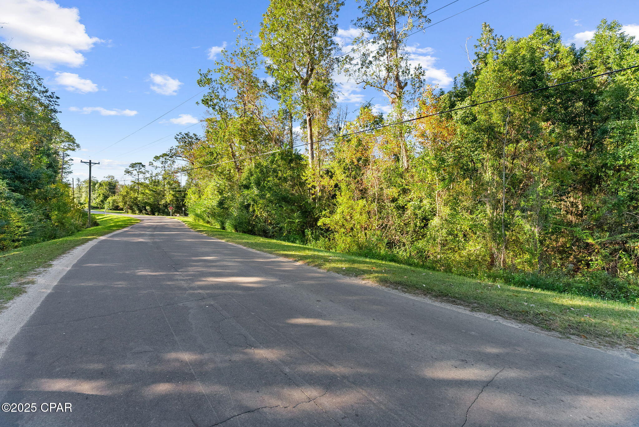 115 Pear Street Wewahitchka, FL 32465 - Photo 10 of 23