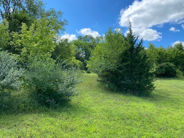 4223 Northgate Drive Spring Grove, IL 60081 - Photo 5 of 12