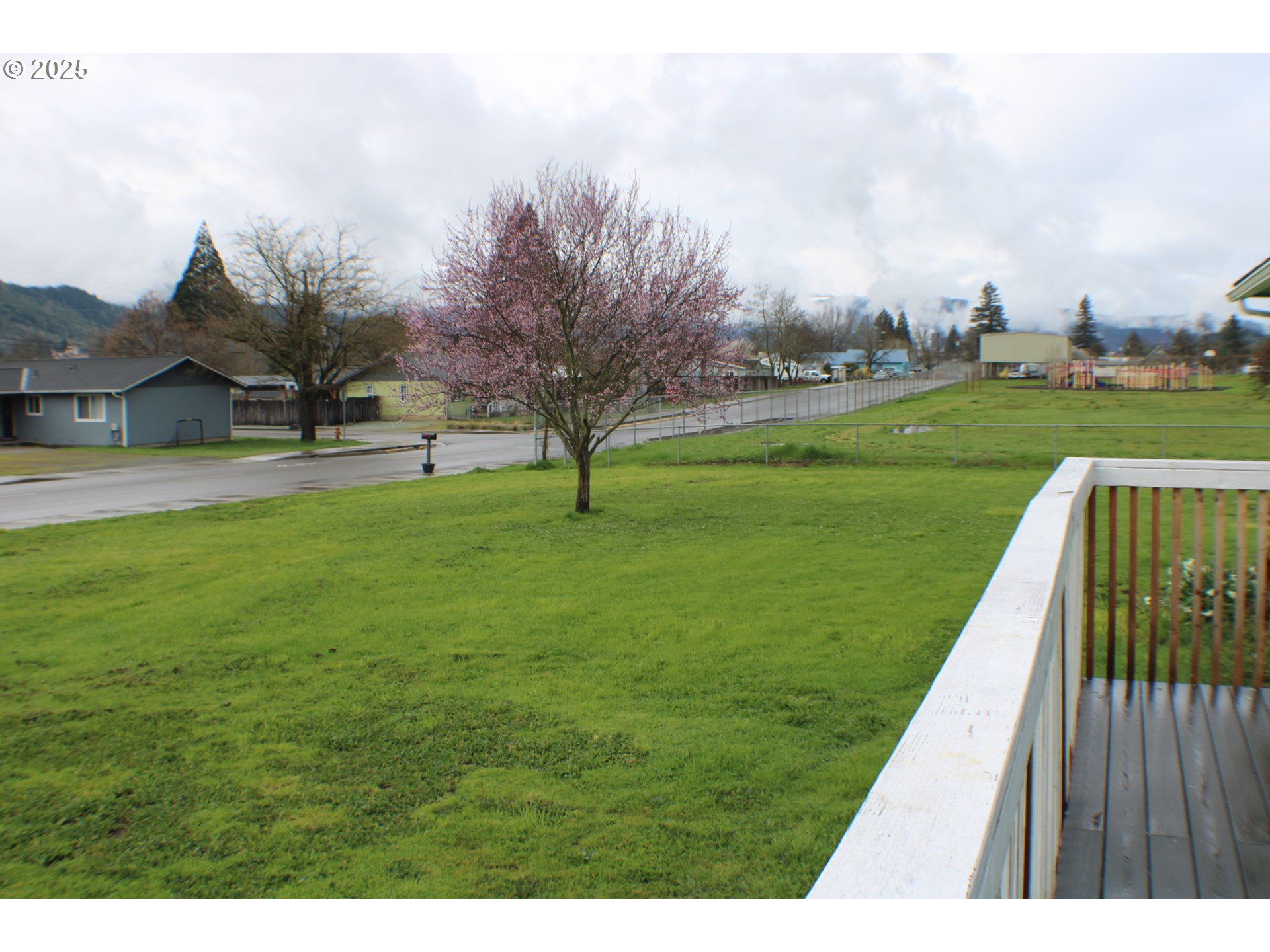 616 4th Avenue Riddle, OR 97469 - Photo 23 of 36 a view of yard with swimming pool and green space