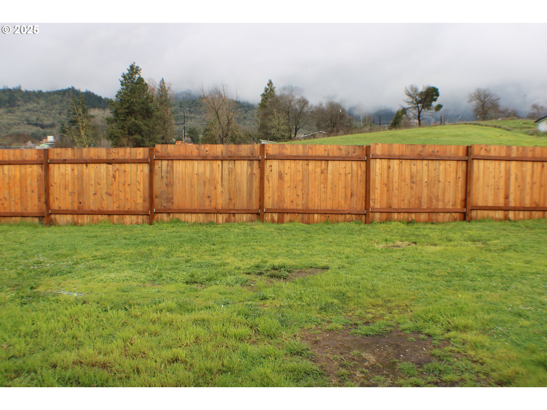 616 4th Avenue Riddle, OR 97469 - Photo 32 of 36 a view of a backyard