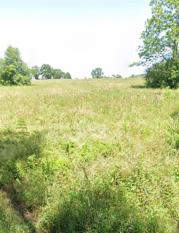 B B Franks Road Singer, LA 70660 - Photo 2 of 4