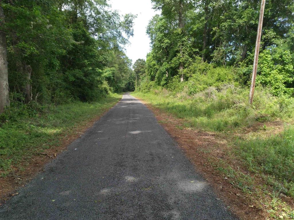 B B Franks Road Singer, LA 70660 - Photo 3 of 4