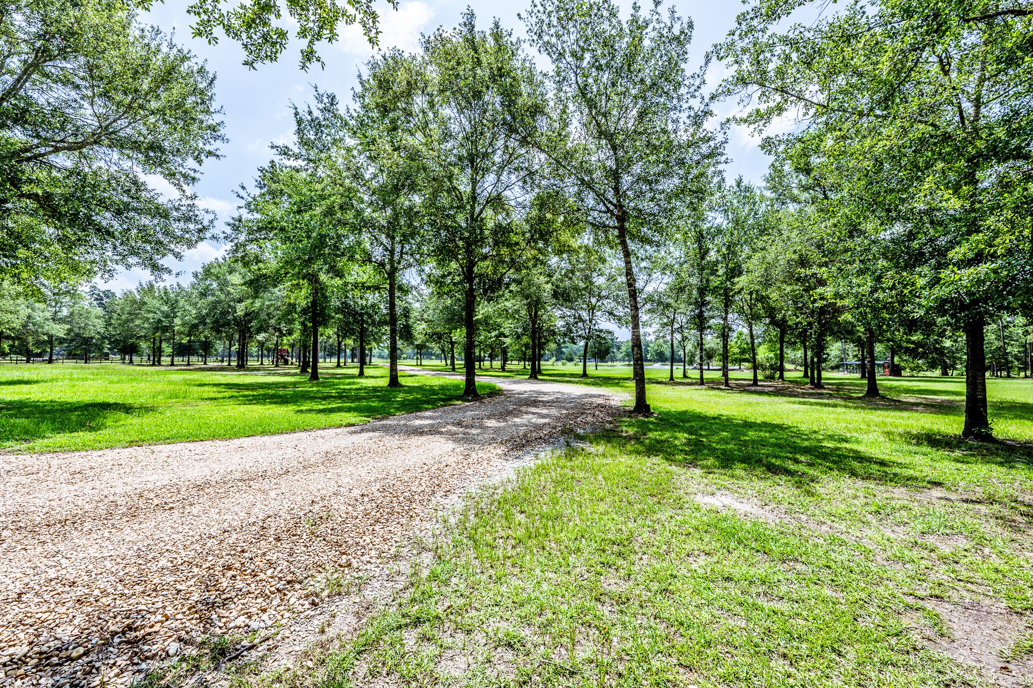 96 B John Kay Road Huntsville, TX 77320 - Photo 2 of 50 Beautiful trees line road leading past pond and onto the home