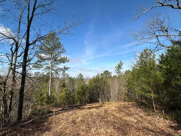 $105,000 | 125 Fox Trail Drive, Old Fort, TN 37362