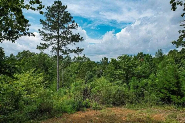 $105,000 | 125 Fox Trail Drive, Old Fort, TN 37362