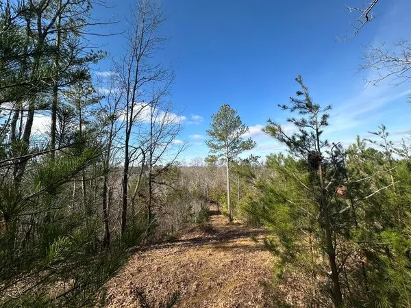 $105,000 | 125 Fox Trail Drive, Old Fort, TN 37362