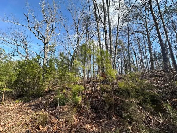 $105,000 | 125 Fox Trail Drive, Old Fort, TN 37362