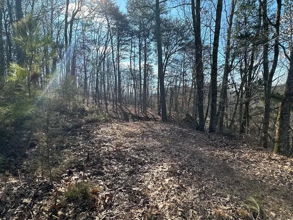 $105,000 | 125 Fox Trail Drive, Old Fort, TN 37362
