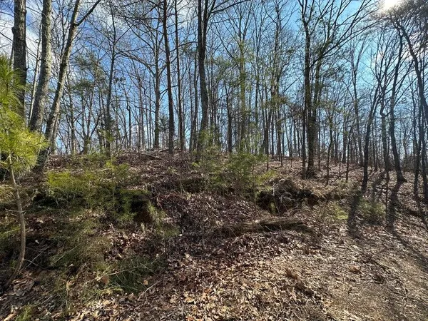 $105,000 | 125 Fox Trail Drive, Old Fort, TN 37362
