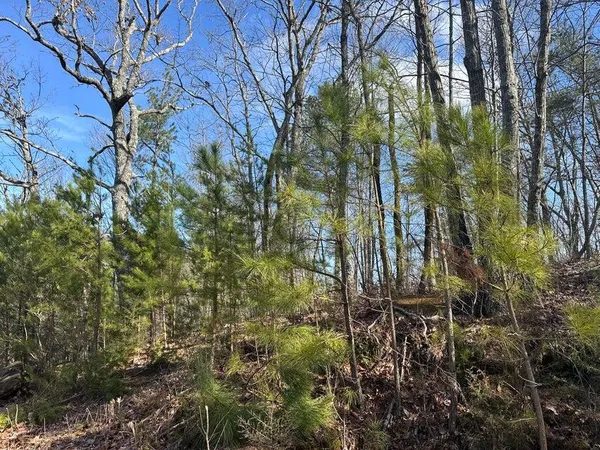 $105,000 | 125 Fox Trail Drive, Old Fort, TN 37362