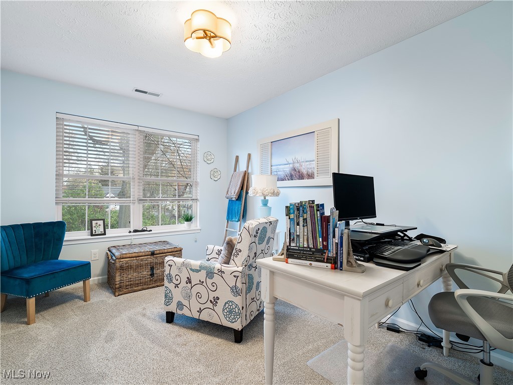 175 Vineyard Road Avon Lake, OH 44012 - Photo 23 of 42 bedroom being used as an office