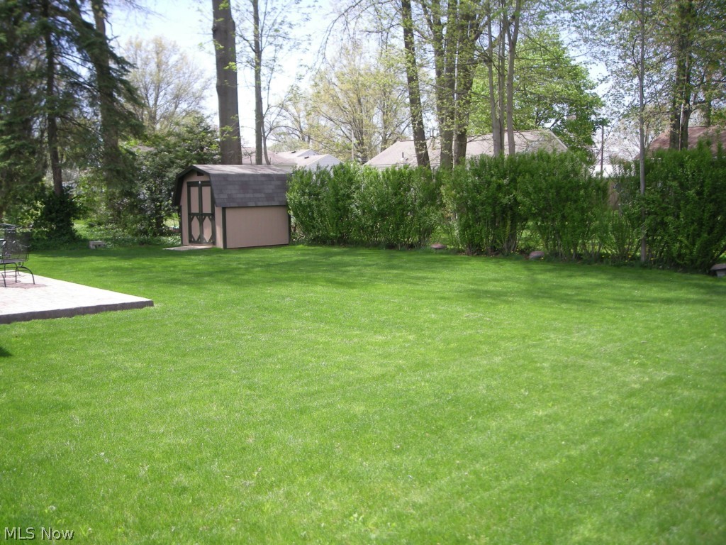 3942 Dover Road Youngstown, OH 44511 - Photo 12 of 14 Large private back yard.